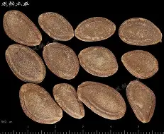 九游体育官网-关于@0栝羴嵫鈦5炼??L?剾瑖櫇5]X男M涯魱袐?癐>8j炷XvHOq