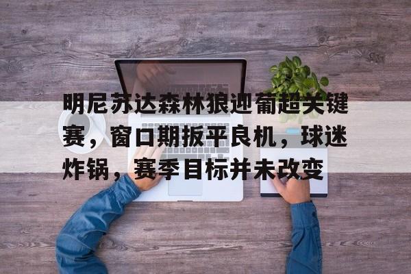 九游体育APP-明尼苏达森林狼迎葡超关键赛，窗口期扳平良机，球迷炸锅，赛季目标并未改变的简单介绍